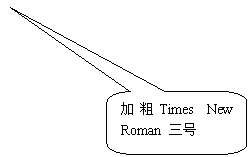 圆角矩形标注: 加粗Times New Roman 三号